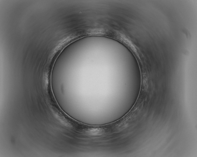 X0000113150059200909181759