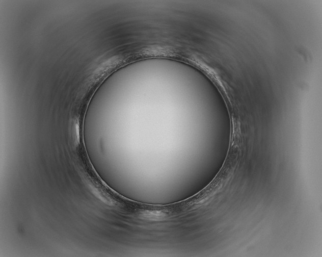 X0000113150061200909181759