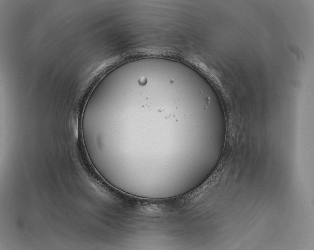 X0000113150062200909181759