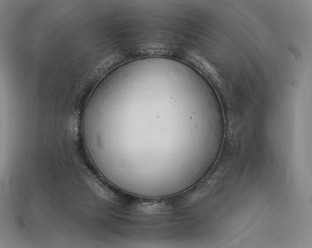 X0000113150065200909181759