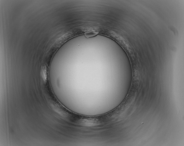 X0000113150069200909181759