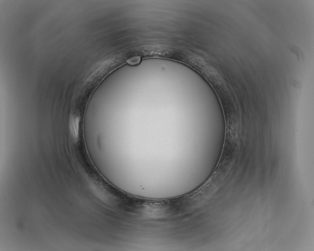 X0000113150070200909181759