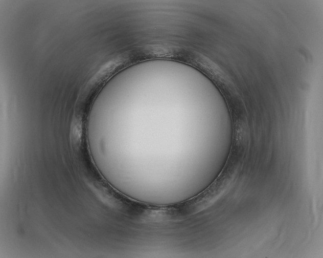 X0000113150072200909181759