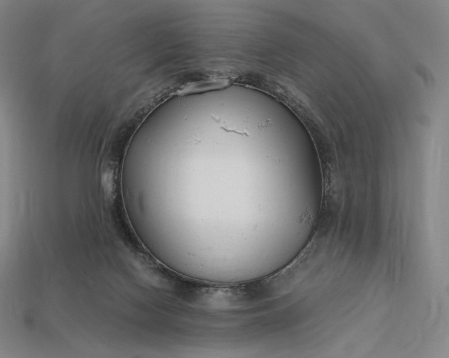 X0000113150074200909181759