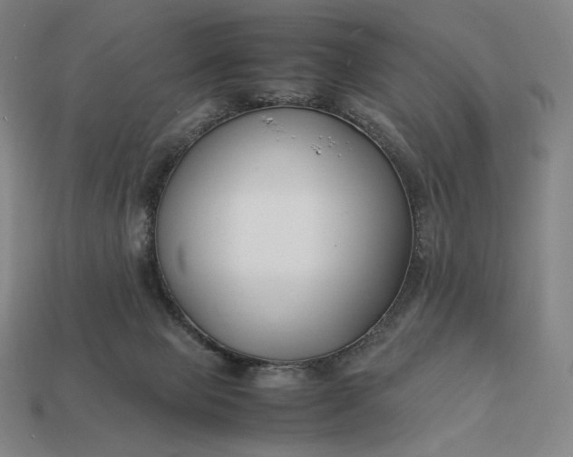 X0000113150077200909181759