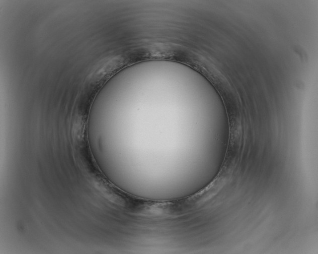 X0000113150078200909181759