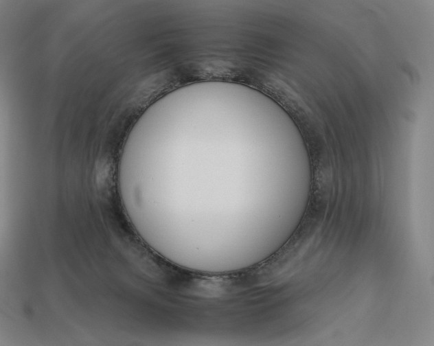 X0000113150079200909181759