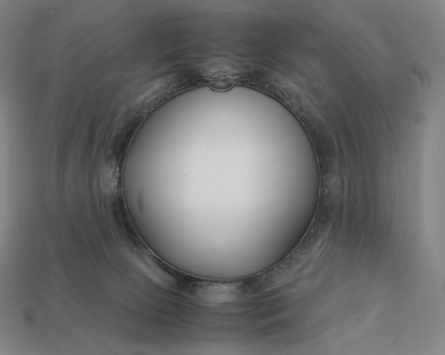 X0000113150081200909181759