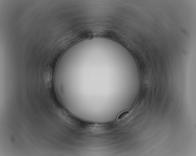 X0000113150082200909181759