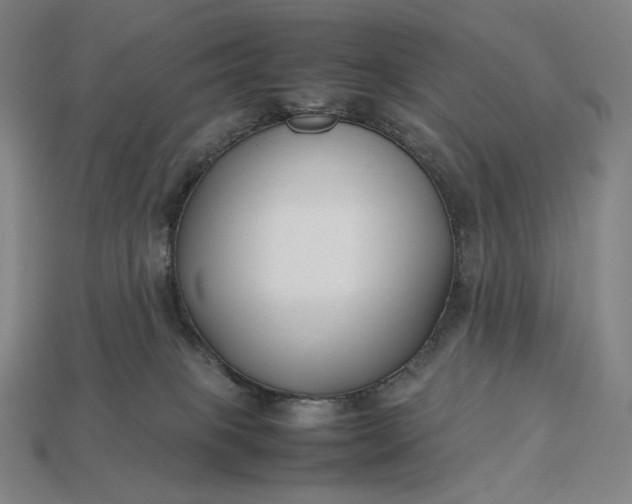 X0000113150085200909181759