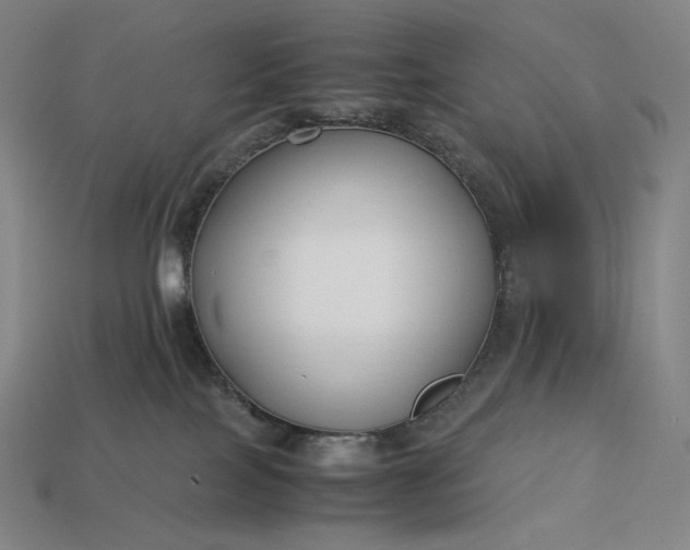 X0000113150089200909181759