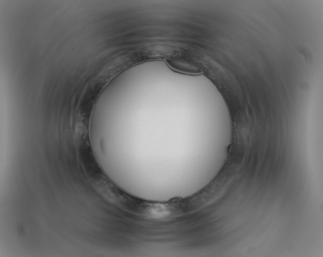 X0000113150091200909181759