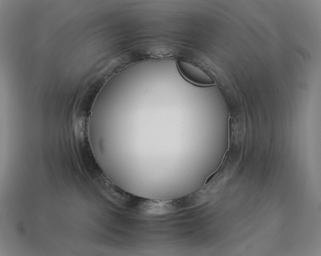 X0000113150093200909181759