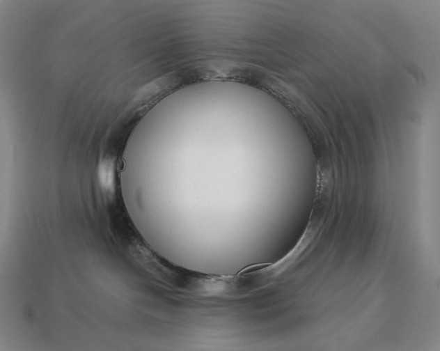 X0000113150094200909181759