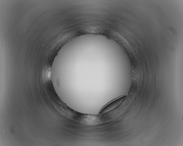 X0000113150095200909181759