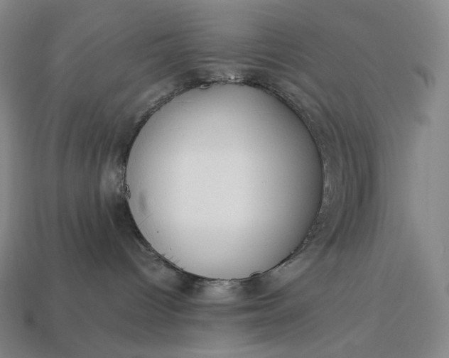 X0000113150096200909181759