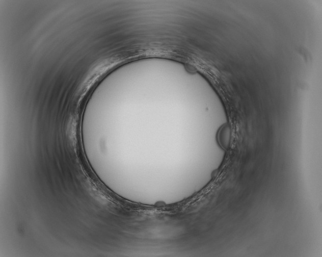 X0000113150098200909181759