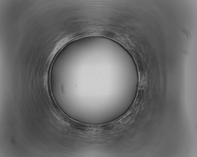 X0000113150099200909181759