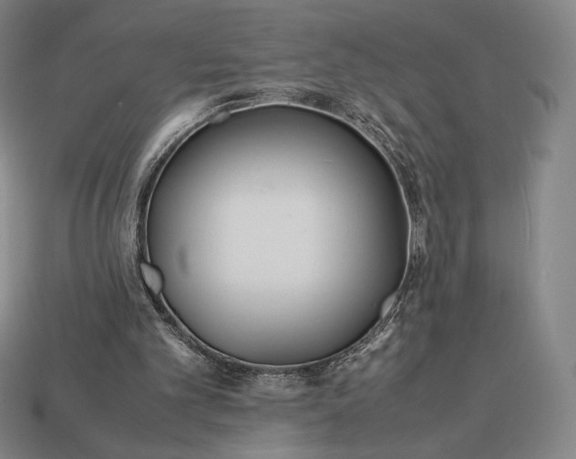 X0000113150101200909181758