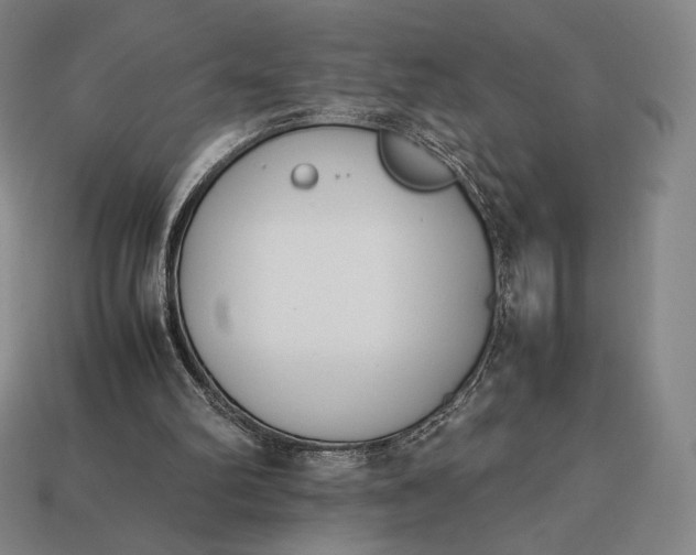 X0000113150102200909181758