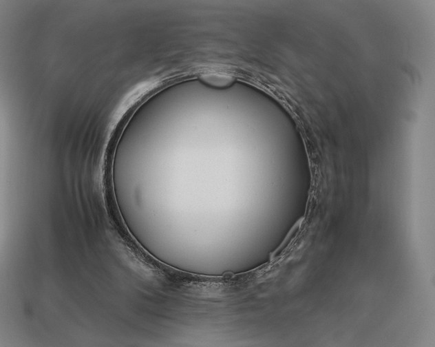 X0000113150104200909181758