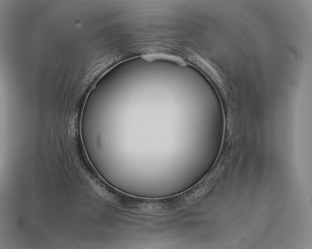 X0000113150105200909181758