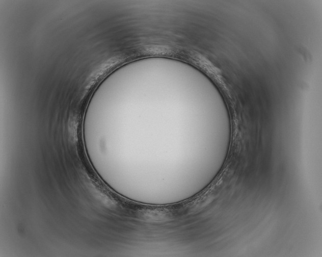 X0000113150106200909181758