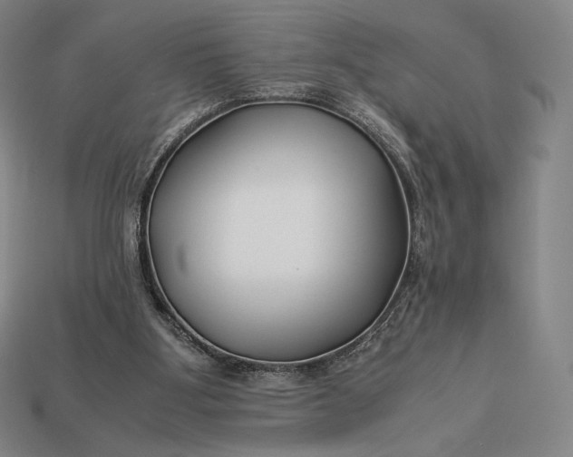 X0000113150107200909181758