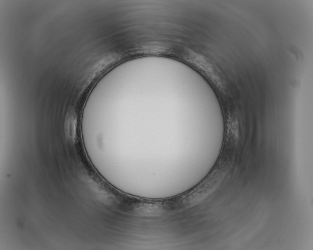 X0000113150110200909181758