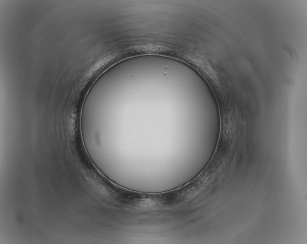 X0000113150111200909181758