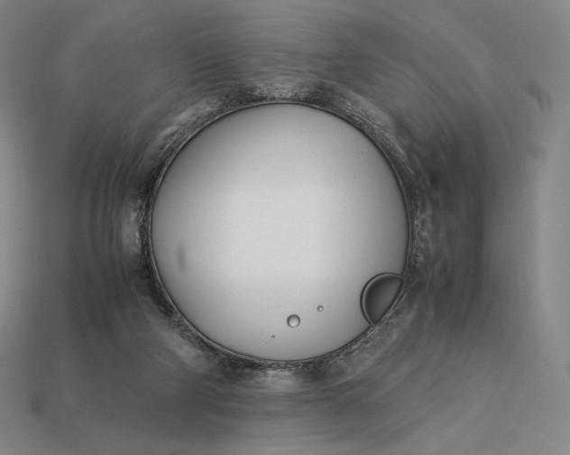 X0000113150114200909181758