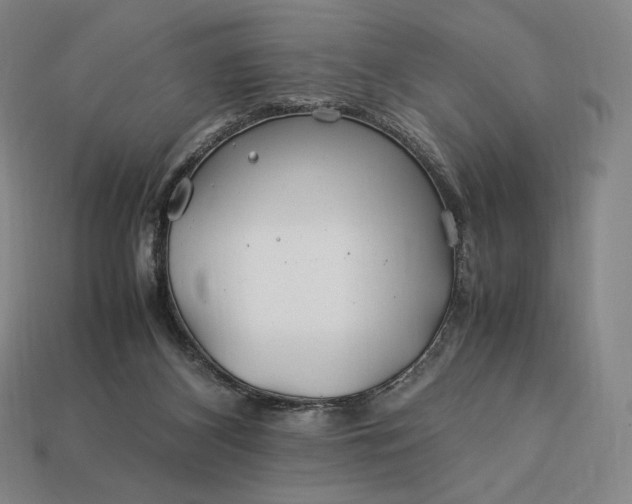 X0000113150116200909181758