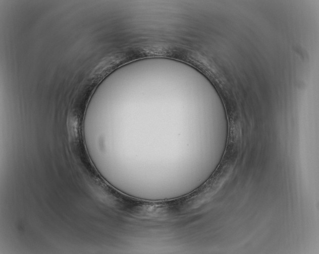 X0000113150117200909181758