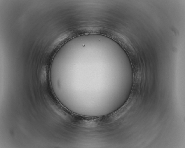 X0000113150120200909181758