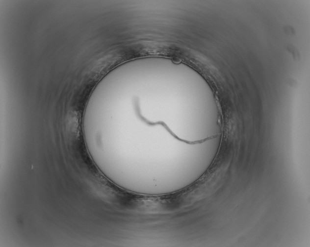 X0000113150121200909181758