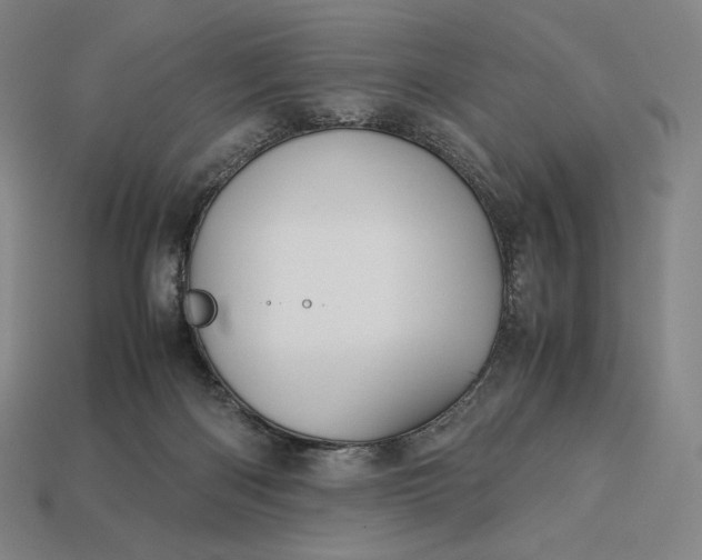 X0000113150122200909181758