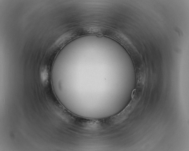 X0000113150124200909181758