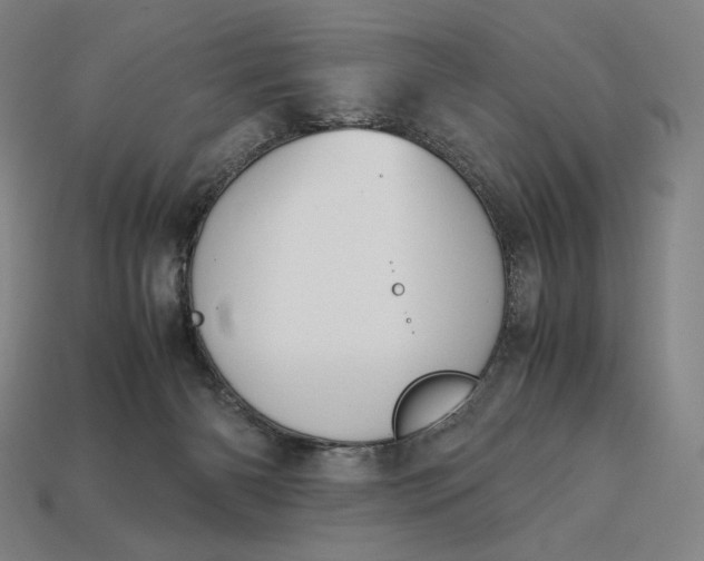 X0000113150126200909181758