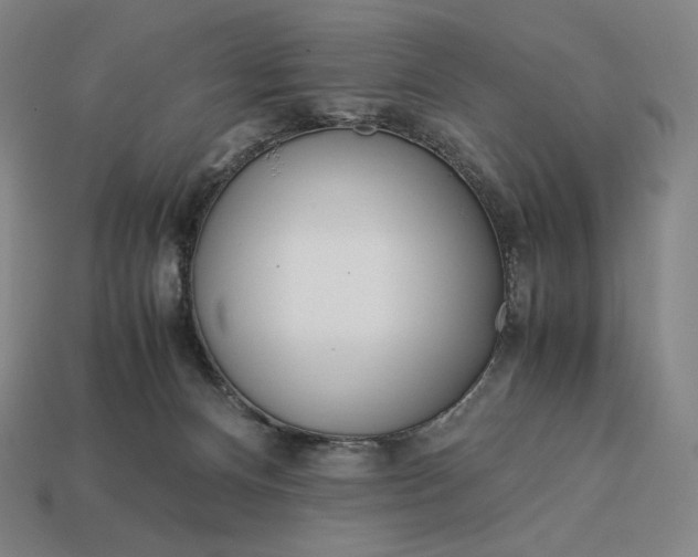 X0000113150128200909181758