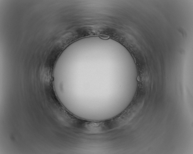 X0000113150129200909181758