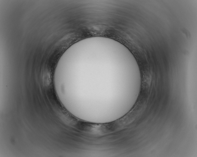 X0000113150130200909181758