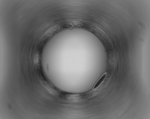 X0000113150132200909181758