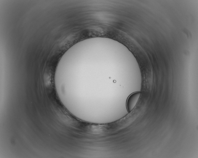 X0000113150134200909181758