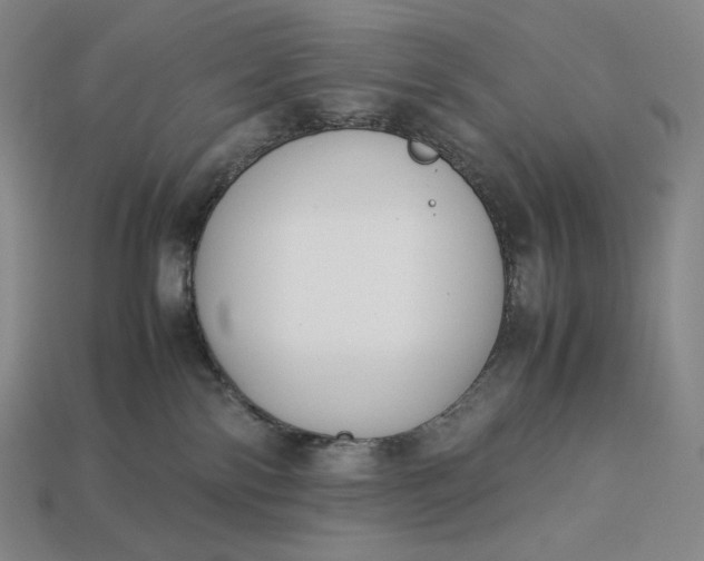 X0000113150138200909181758