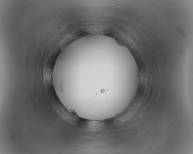 X0000113150141200909181758