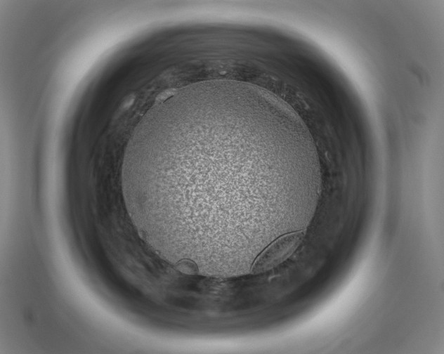 X0000113150143200909181758