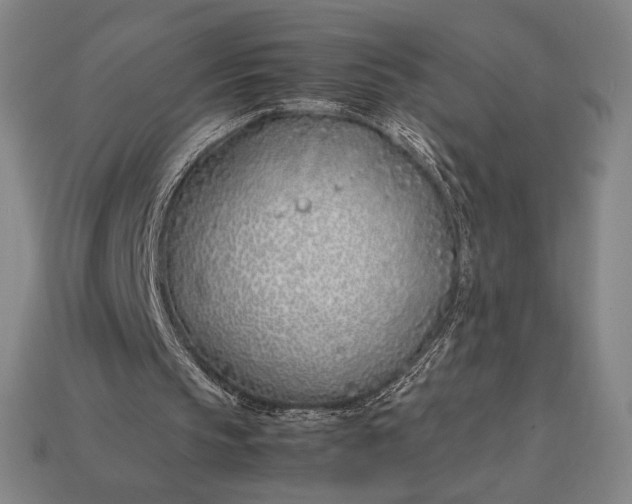 X0000113150145200909181757