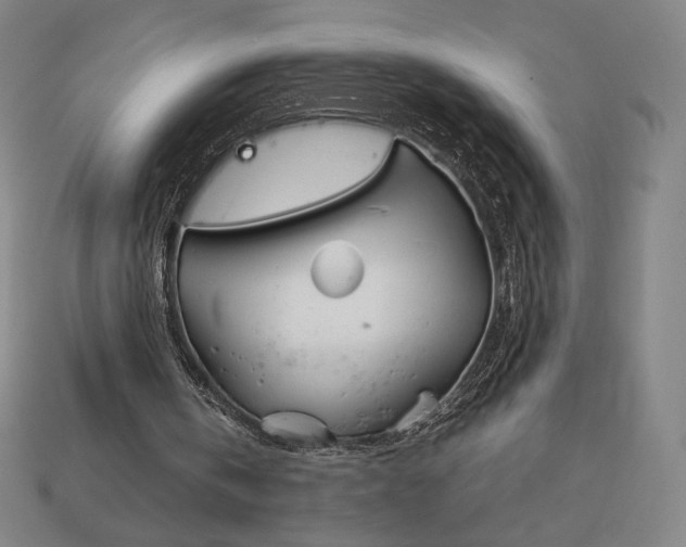 X0000113150146200909181757