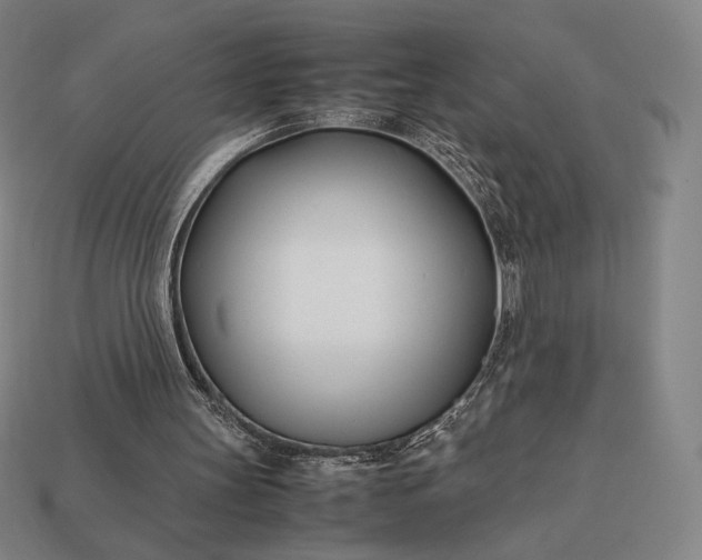 X0000113150147200909181757