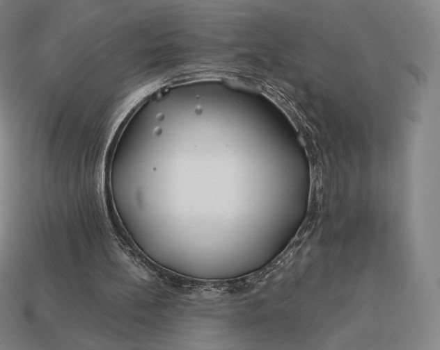 X0000113150148200909181757